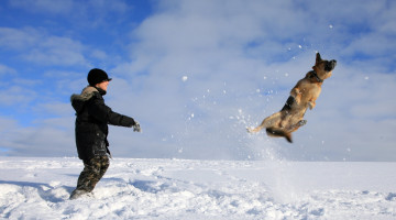 Boy and dog playing in snow