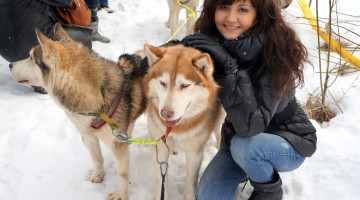 Young Woman And Dog Siberian Husky
