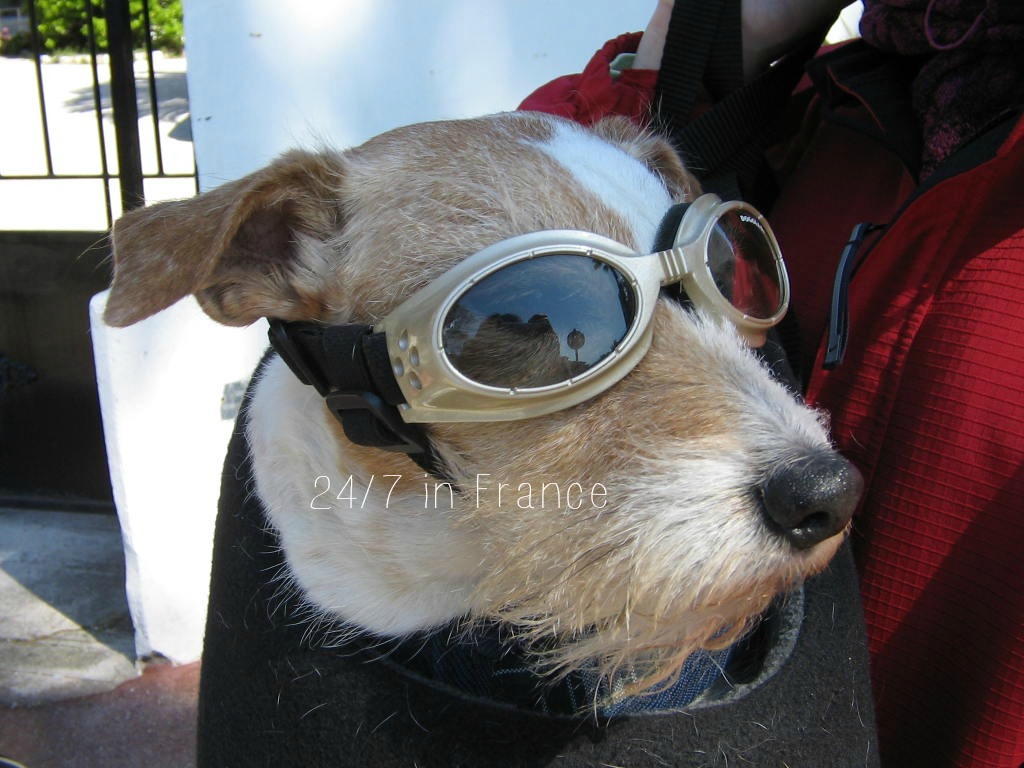 scooter goggles